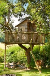Baumhaus