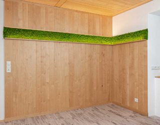 Wandverkleidung in Birke mit Moos